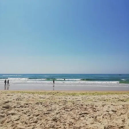 Parque Ria Formosa, 오양